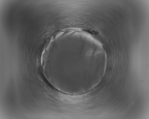 X0000063440039200602171842