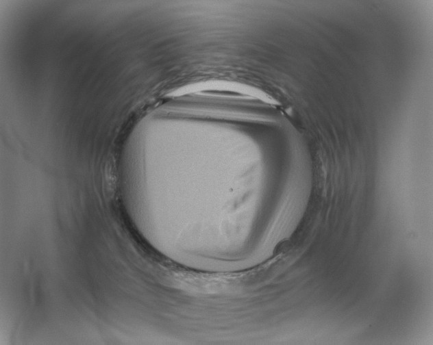 X0000063440040200602171842