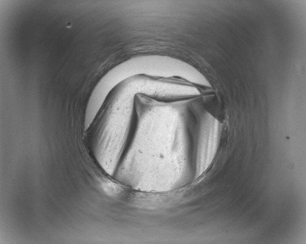 X0000063440045200602171842
