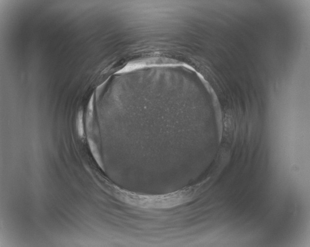 X0000063440046200602171842