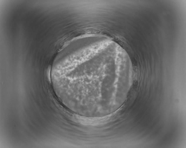 X0000063440047200602171842