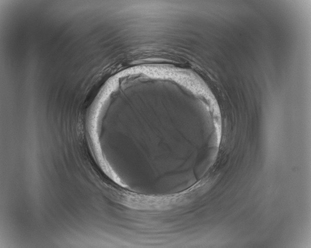 X0000063440048200602171842