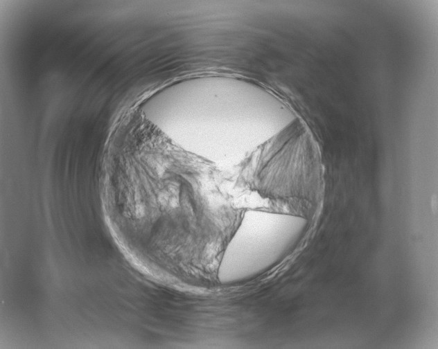 X0000063440049200602171841