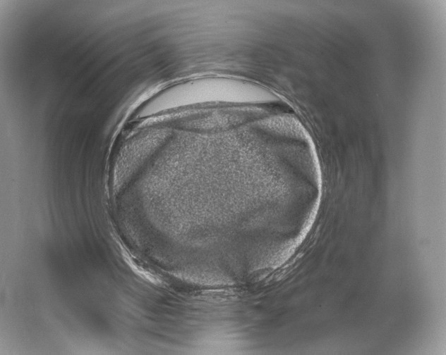 X0000063440050200602171841
