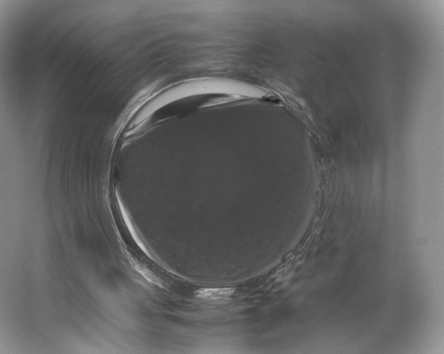 X0000063440051200602171841
