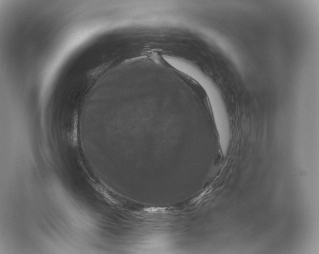 X0000063440052200602171841