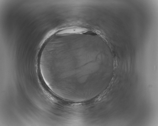 X0000063440054200602171841