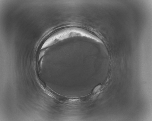 X0000063440055200602171841
