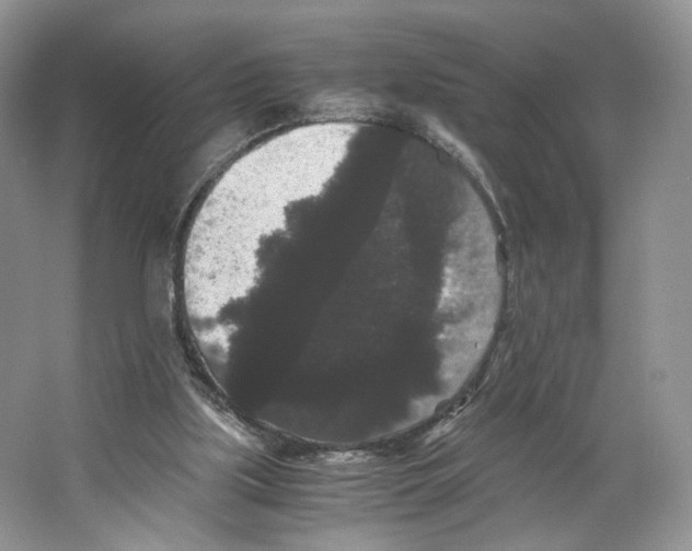 X0000063440059200602171842