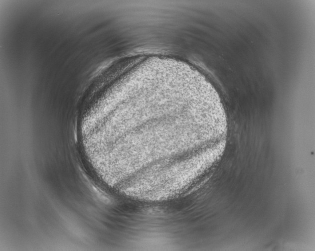 X0000063440062200602171842