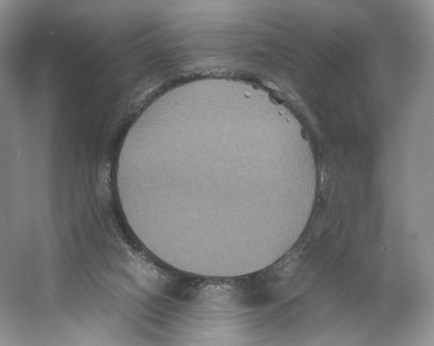 X0000063440066200602171842