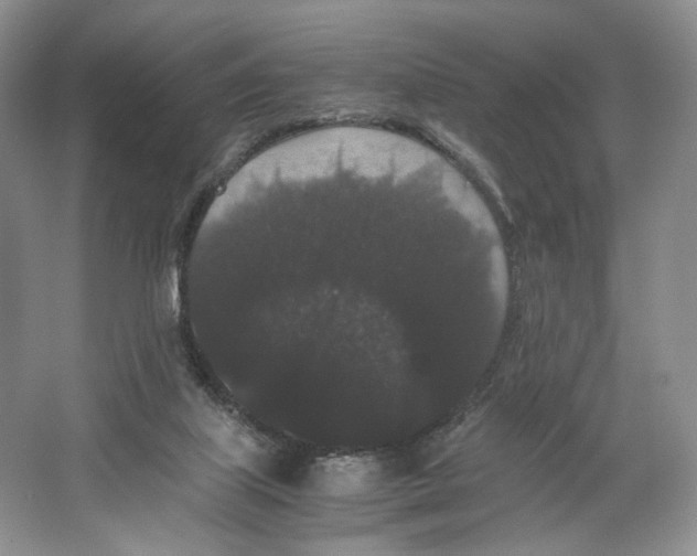X0000063440067200602171842