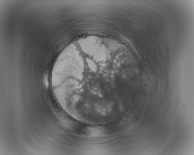 X0000063440069200602171842