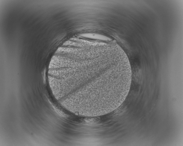 X0000063440070200602171842