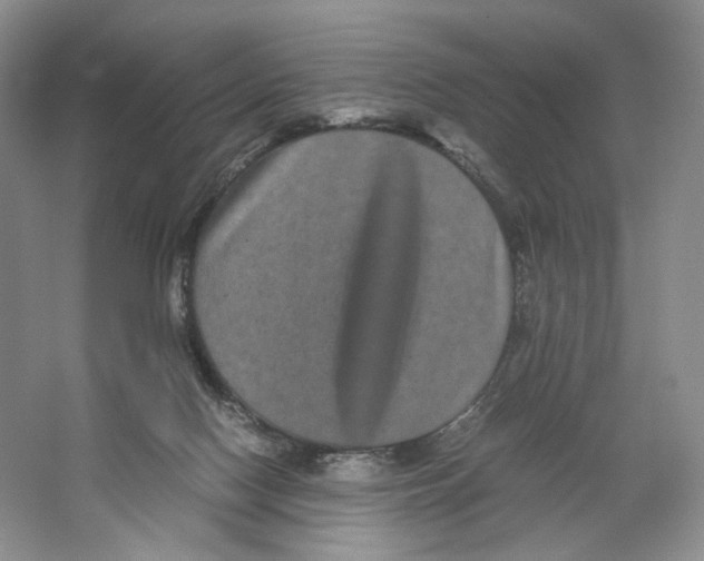 X0000063440074200602171842