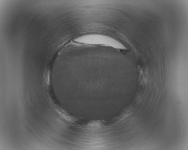 X0000063440076200602171842