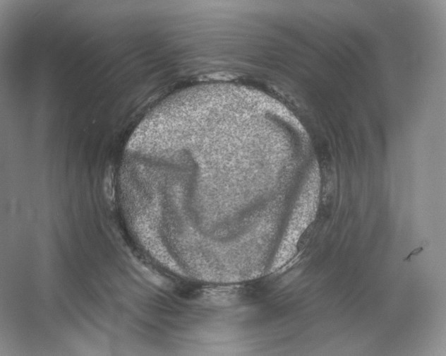 X0000063440078200602171842