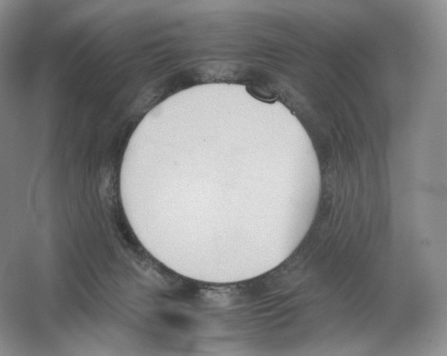 X0000063440079200602171842