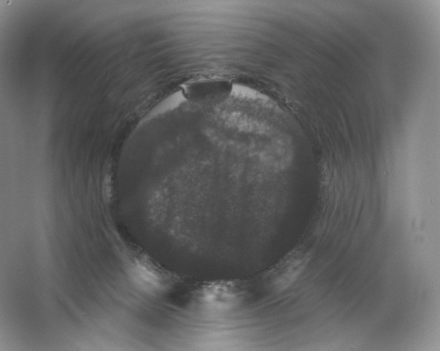 X0000063440080200602171842