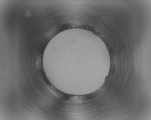 X0000063440082200602171842