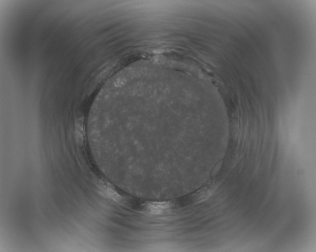 X0000063440085200602171842