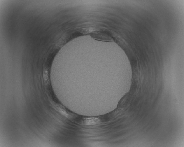 X0000063440087200602171842