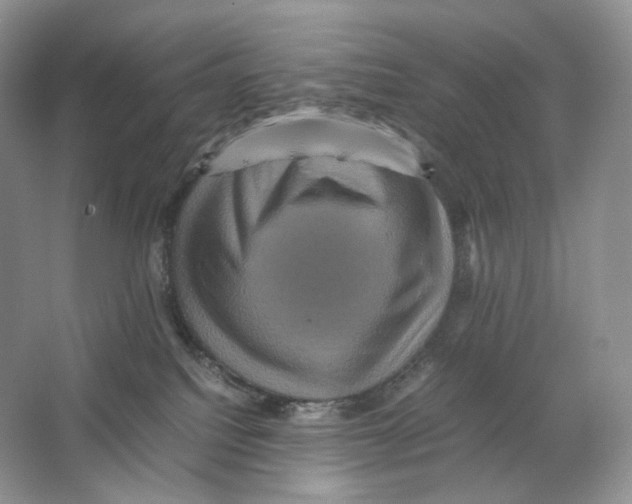 X0000063440088200602171842