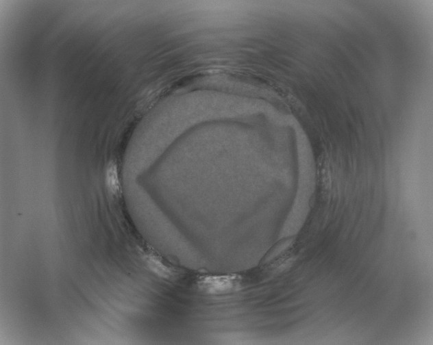 X0000063440089200602171842