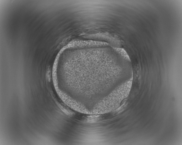 X0000063440090200602171842
