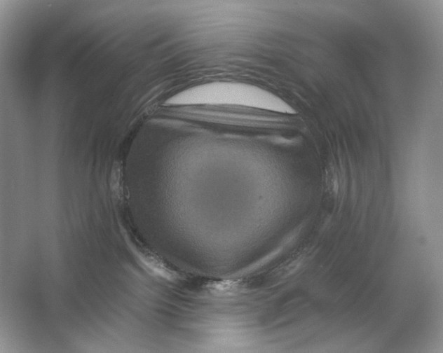 X0000063440092200602171842