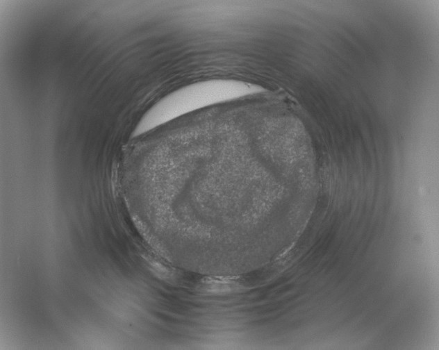 X0000063440093200602171842