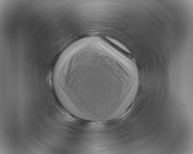 X0000063440094200602171842