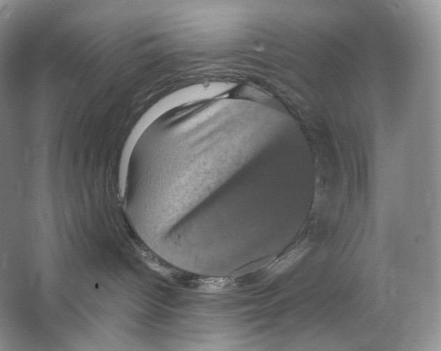 X0000063440096200602171842