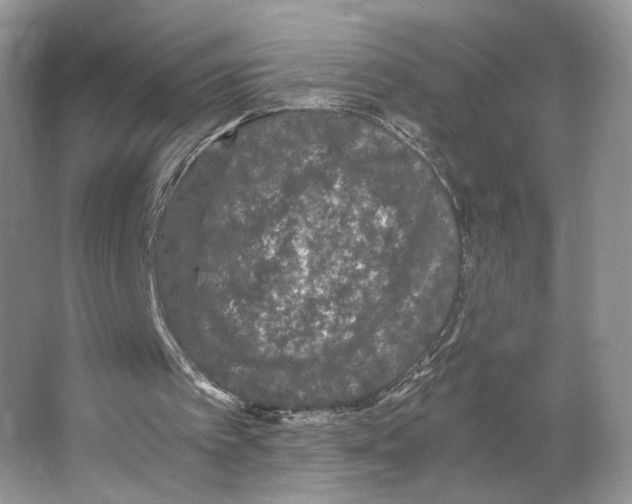 X0000063440097200602171841