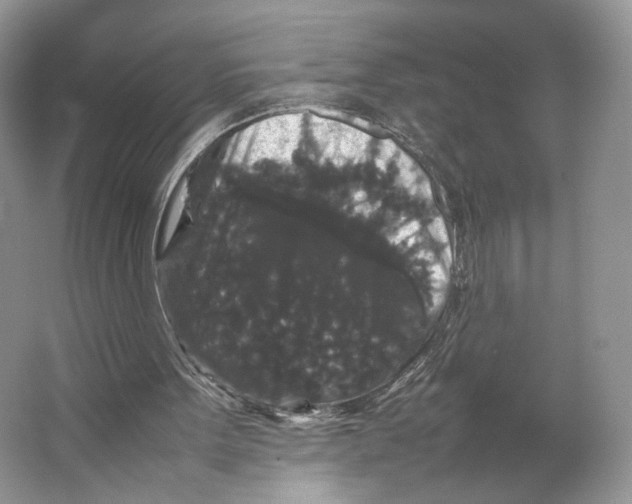X0000063440099200602171841
