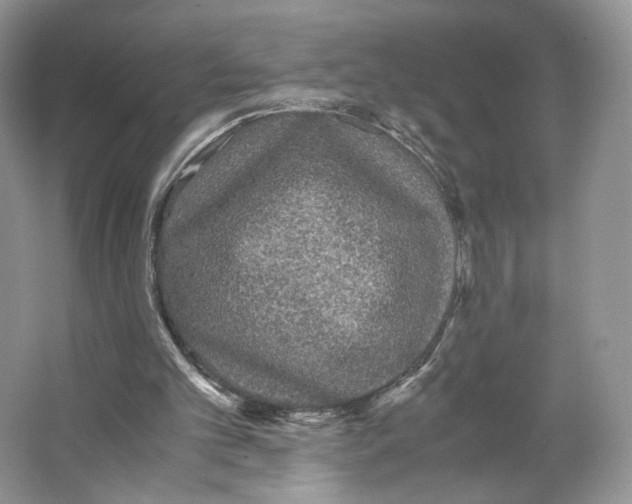 X0000063440101200602171841
