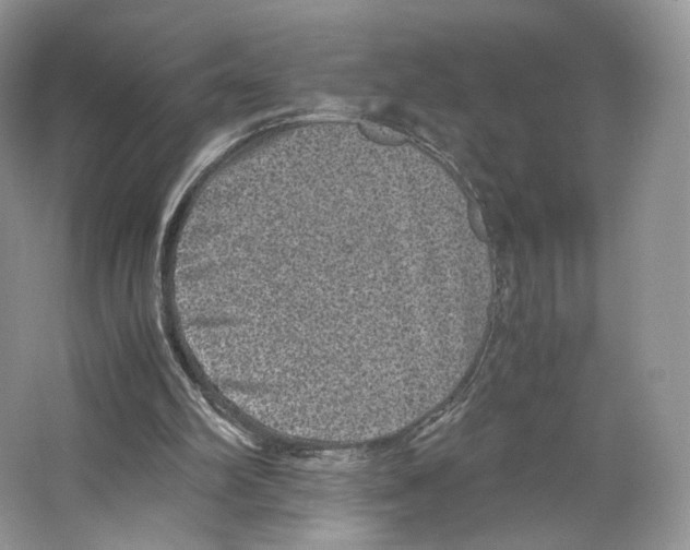 X0000063440102200602171841