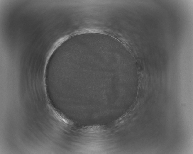 X0000063440104200602171841