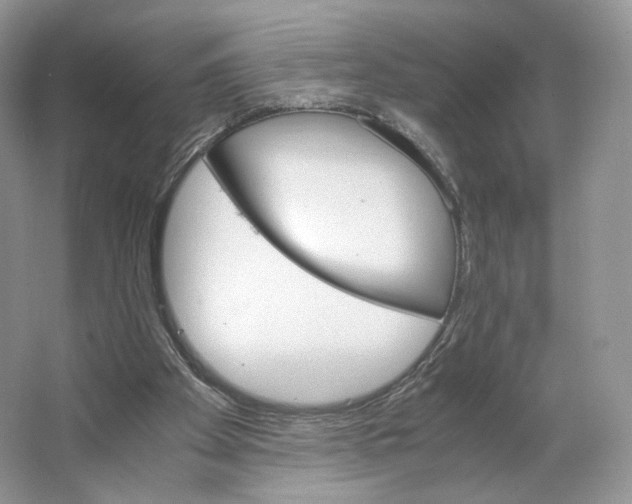 X0000063440105200602171841