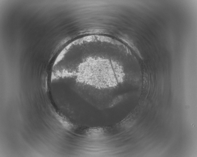 X0000063440110200602171841