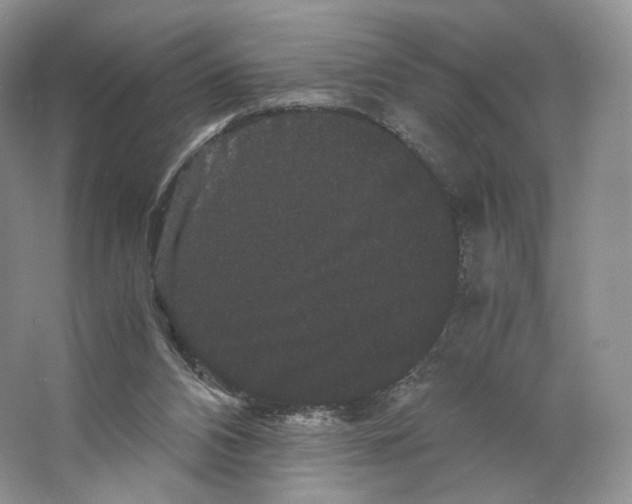 X0000063440112200602171841