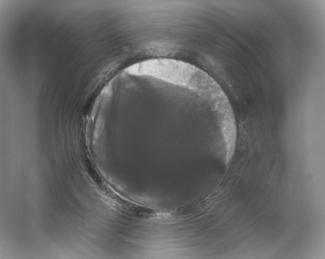 X0000063440114200602171841