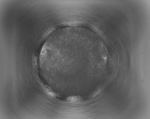 X0000063440117200602171841