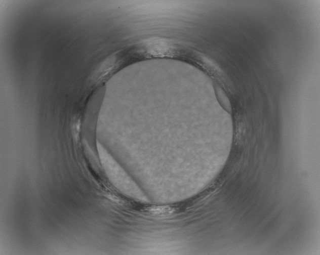 X0000063440121200602171841