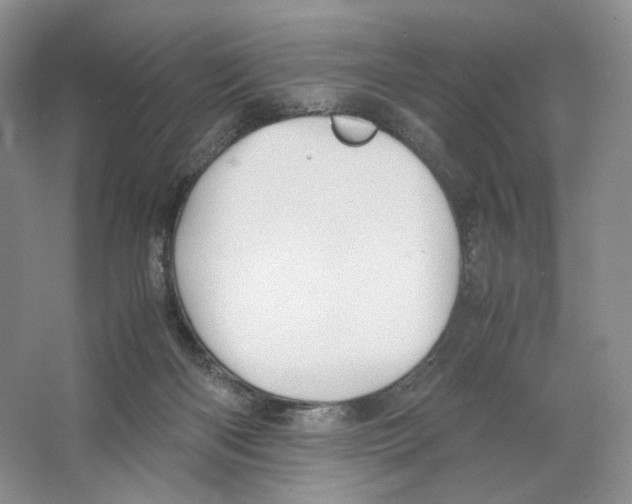 X0000063440122200602171841