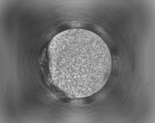X0000063440125200602171841