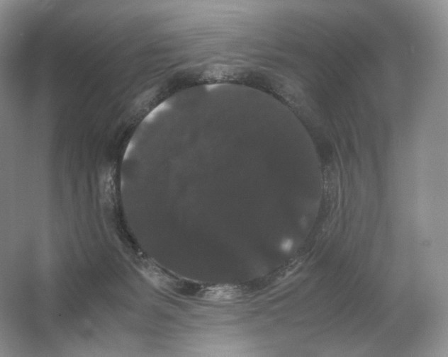 X0000063440127200602171841