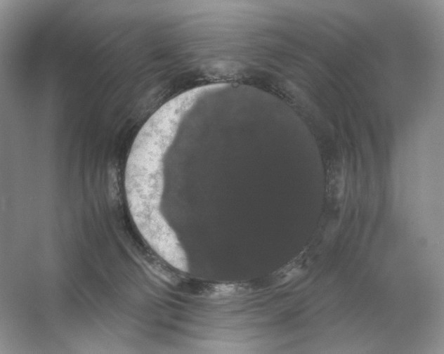 X0000063440130200602171841