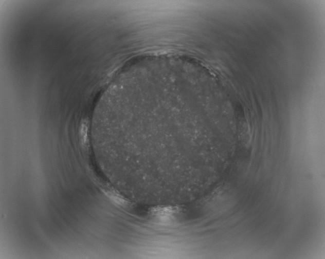 X0000063440131200602171841