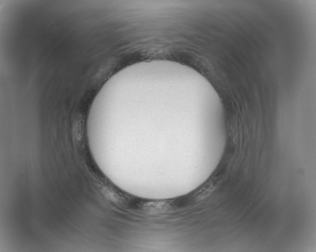 X0000063440133200602171841